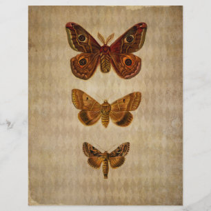 Brown Moths Vintage Scrapbook Paper