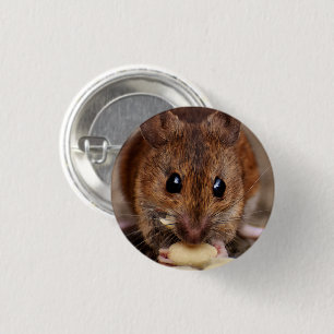 Brown Mouse Eating Peanut Close-up 3 Cm Round Badge
