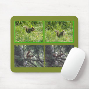 Brown n Red Squirrels Mouse Pad