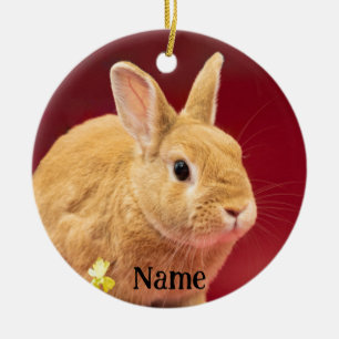 Brown Neitherland Dwarf Bunny Rabbit Ceramic Tree Decoration