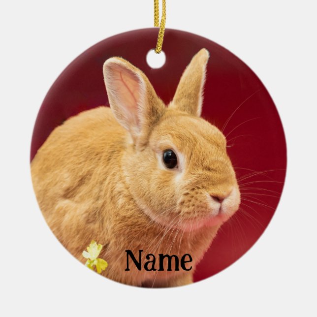 Brown Neitherland Dwarf Bunny Rabbit Ceramic Tree Decoration (Front)