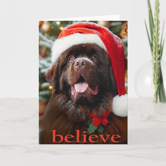 Brown Newf Christmas Card 'Believe" (Front)