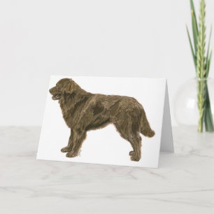Brown Newfoundland Dog Card