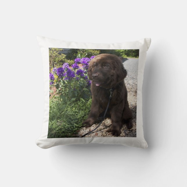 Brown Newfoundland Dog Pup Cushion (Front)