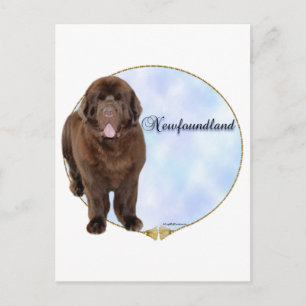 Brown Newfoundland Portrait Postcard