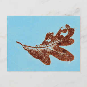 "Brown Oak on Blue" Country Roads Postcard