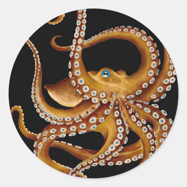 Brown Octopus Blue Eye Black Art Classic Round Sticker (Front)