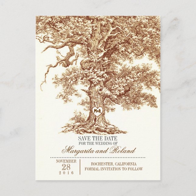 brown old oak tree save the date postcards (Front)