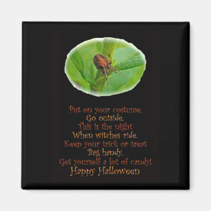 Brown Orange Araneus Halloween Magnet