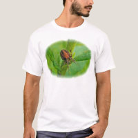 Brown Orange Araneus T-Shirt