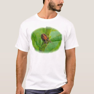 Brown Orange Araneus T-Shirt