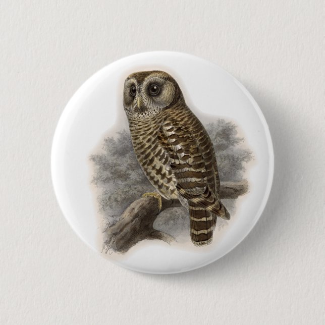Brown Owl 6 Cm Round Badge (Front)
