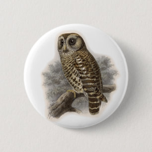 Brown Owl 6 Cm Round Badge