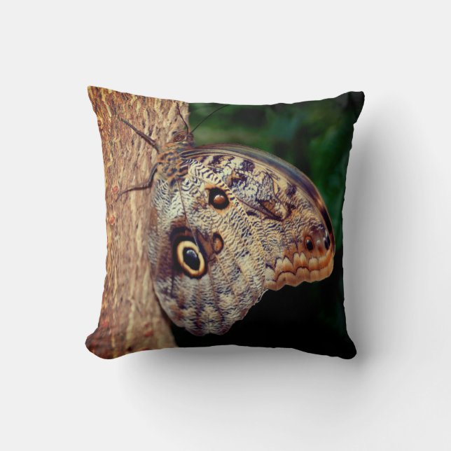 Brown Owl Butterfly Close Up  Cushion (Front)