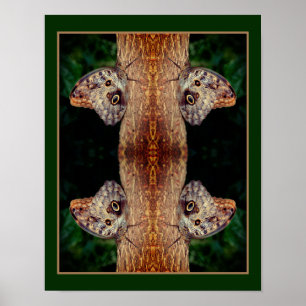 Brown Owl Butterfly Close Up Nature Abstract Poster