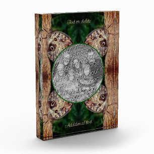 Brown Owl Butterfly Frame Create Your Own Photo Block