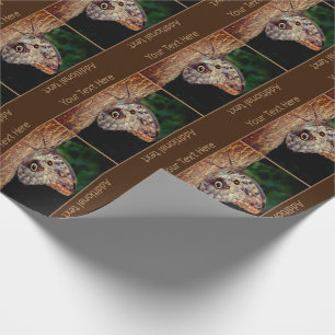 Brown Owl Butterfly Nature Personalised Wrapping Paper