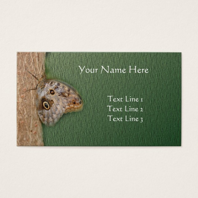 Brown Owl Butterfly On Tree Nature (Front)