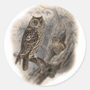 Brown Owl Classic Round Sticker