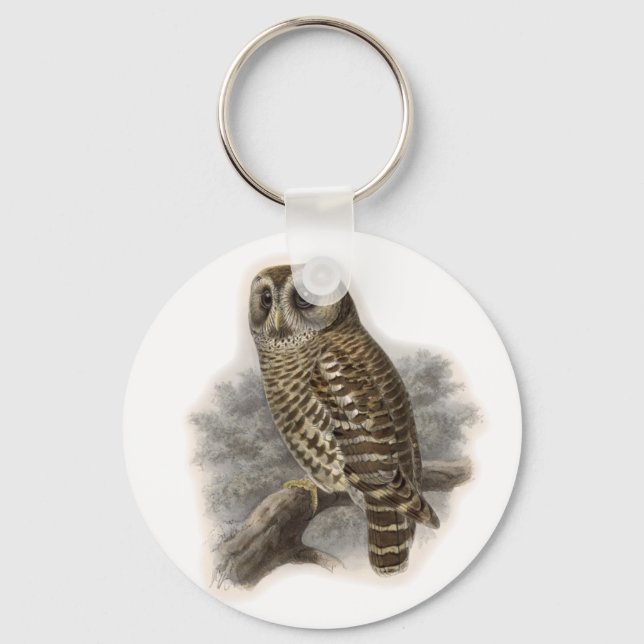 Brown Owl Key Ring (Front)