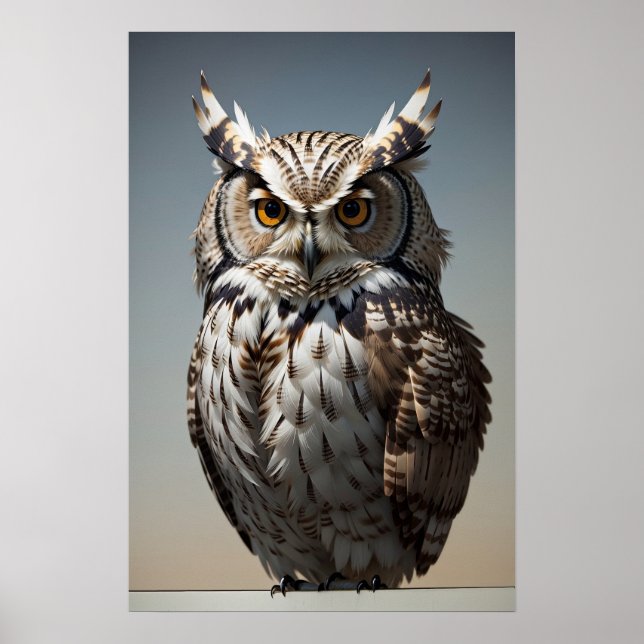 Brown Owl Poster (Front)