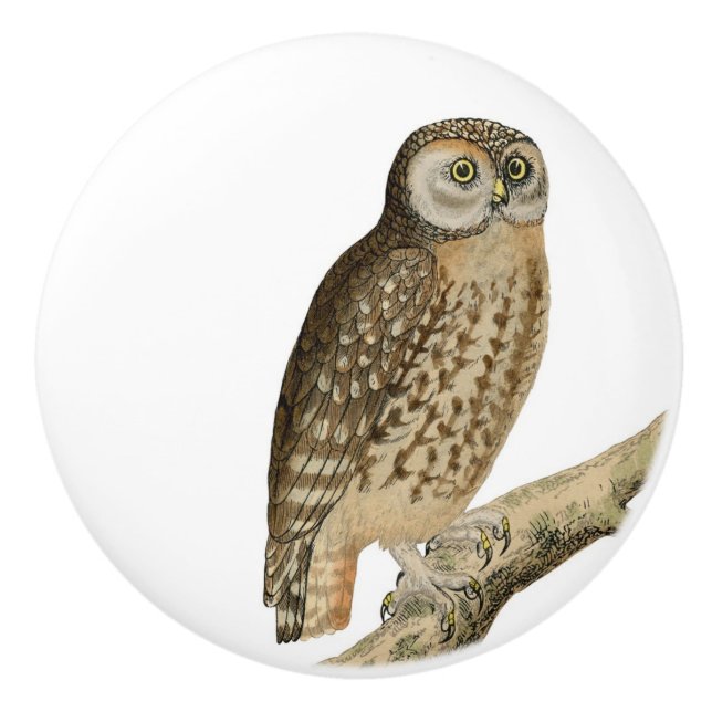 Brown Owl vintage art Ceramic Knob (Front)