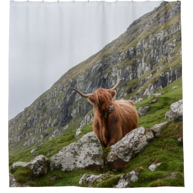 BROWN OX ON MOUNTAIN SHOWER CURTAIN (Front)