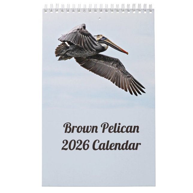 Brown Pelican 2025 Calendar (Cover)