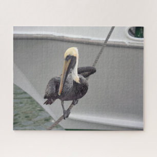 Brown Pelican Balancing on a Rope, Florida Puzzle