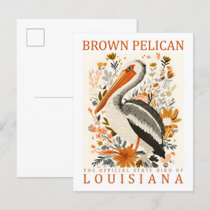 Brown Pelican Bird of Louisiana USA Travel Postcard