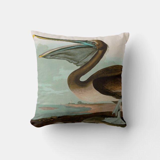 Brown Pelican Birds of America Audubon Print Cushion (Front)