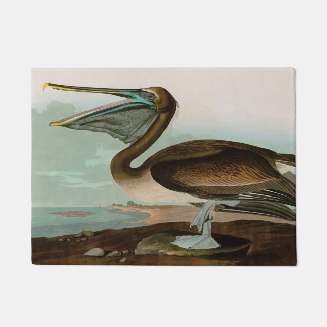 Brown Pelican Birds of America Audubon Print Doormat (Front)