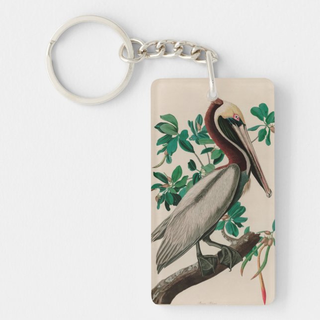 Brown Pelican Birds of America Audubon Print Key Ring (Front)