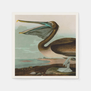 Brown Pelican Birds of America Audubon Print Napkin