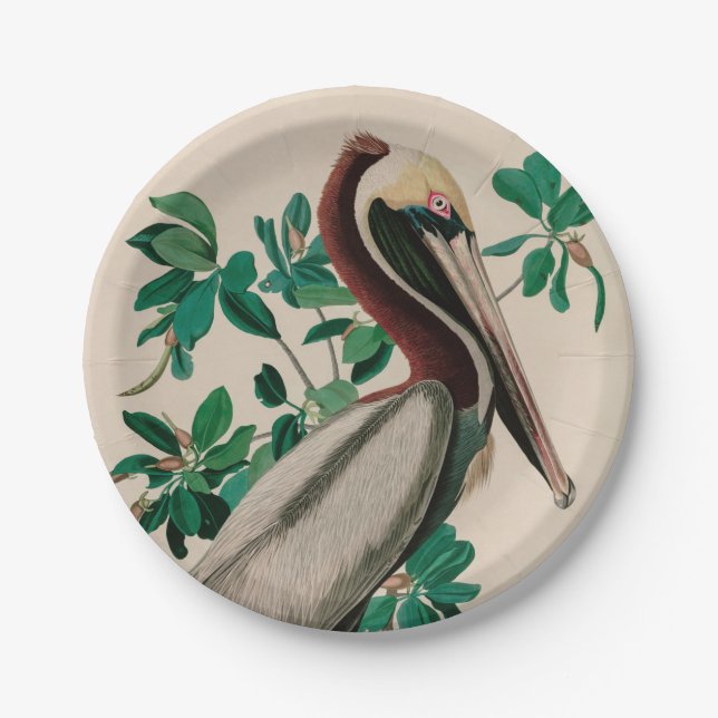 Brown Pelican Birds of America Audubon Print Paper Plate (Front)