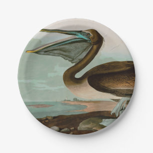 Brown Pelican Birds of America Audubon Print Paper Plate