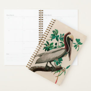Brown Pelican Birds of America Audubon Print Planner