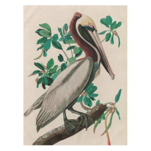 Brown Pelican Birds of America Audubon Print Tablecloth