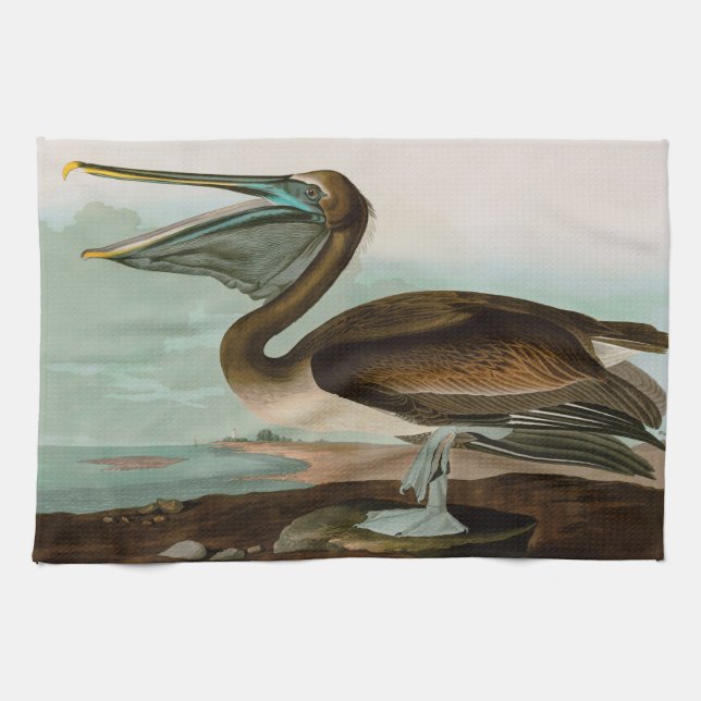 Brown Pelican Birds of America Audubon Print Tea Towel (Horizontal)