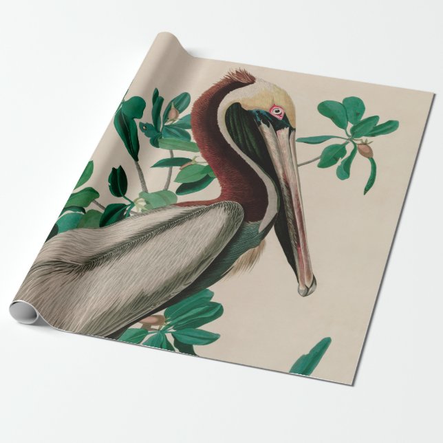 Brown Pelican Birds of America Audubon Print Wrapping Paper (Unrolled)