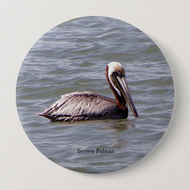 Brown Pelican button (Front)
