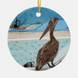Brown Pelican   Cabo San Lucas Ceramic Tree Decoration