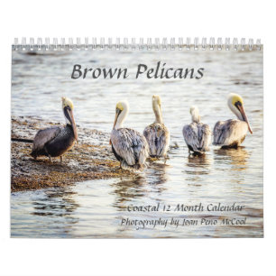 Brown Pelican Calendar