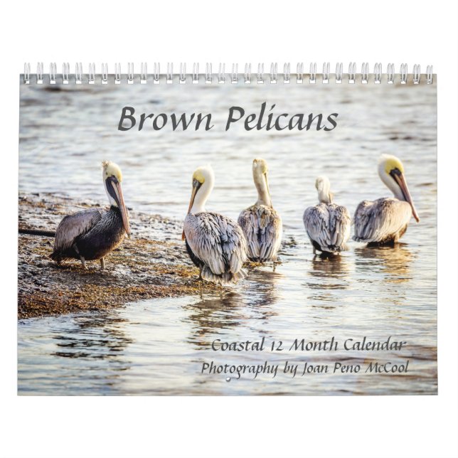 Brown Pelican Calendar (Cover)