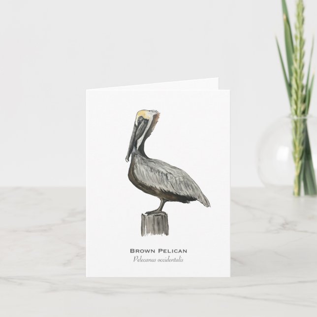 Brown Pelican Folded Note Card (Front)