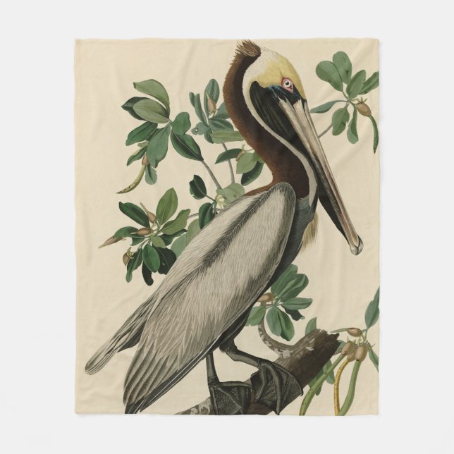 Brown Pelican from Audubon's Birds of America Fleece Blanket (Front)