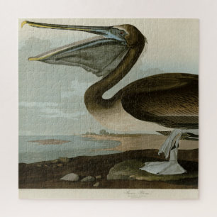 Brown Pelican from Audubon's Birds of America Jigsaw Puzzle