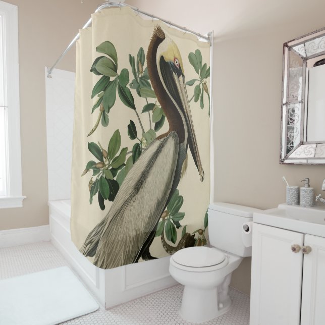Brown Pelican from Audubon's Birds of America Shower Curtain (In Situ)
