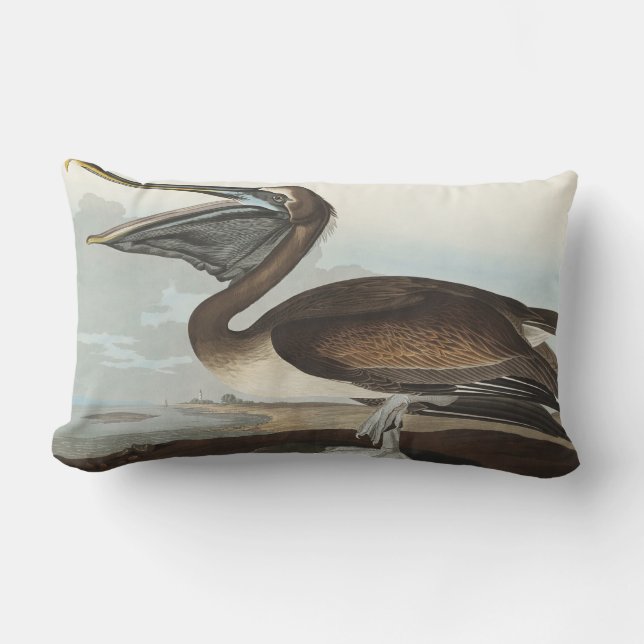Brown Pelican from Birds of America Lumbar Cushion (Front)
