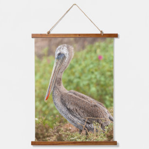 Brown Pelican Hanging Tapestry